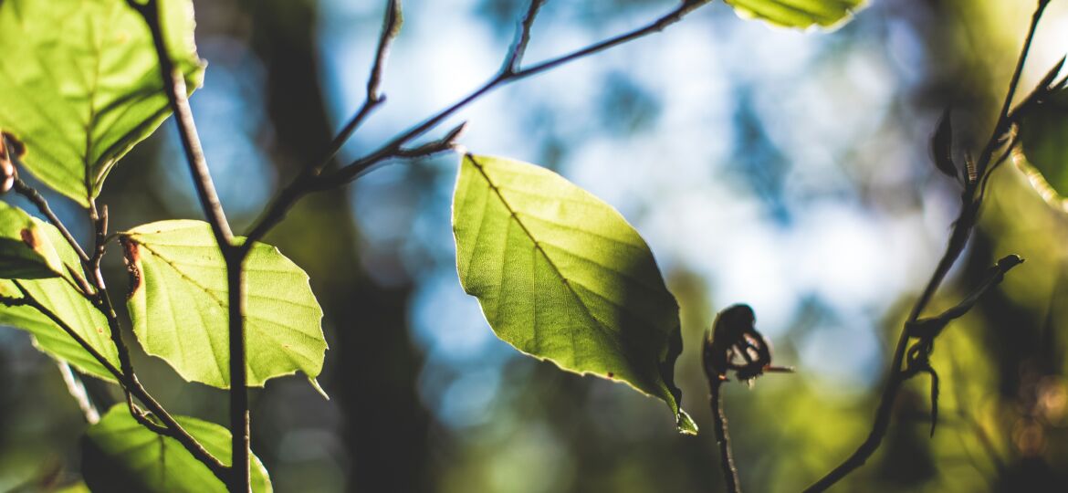 markus-spiske-1085949-unsplash